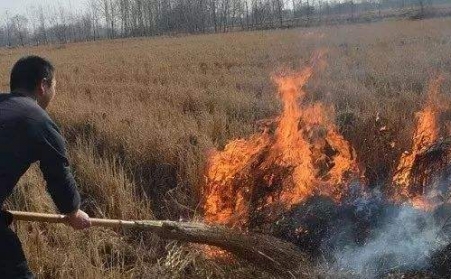 生物質顆粒機解決了農村大難題！